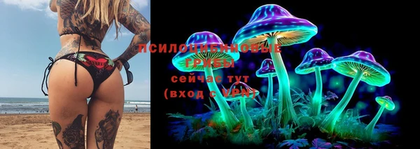 ALPHA PVP Аркадак