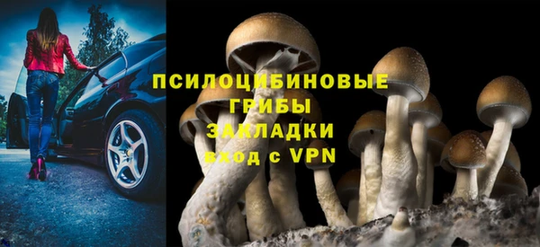 ALPHA PVP Аркадак
